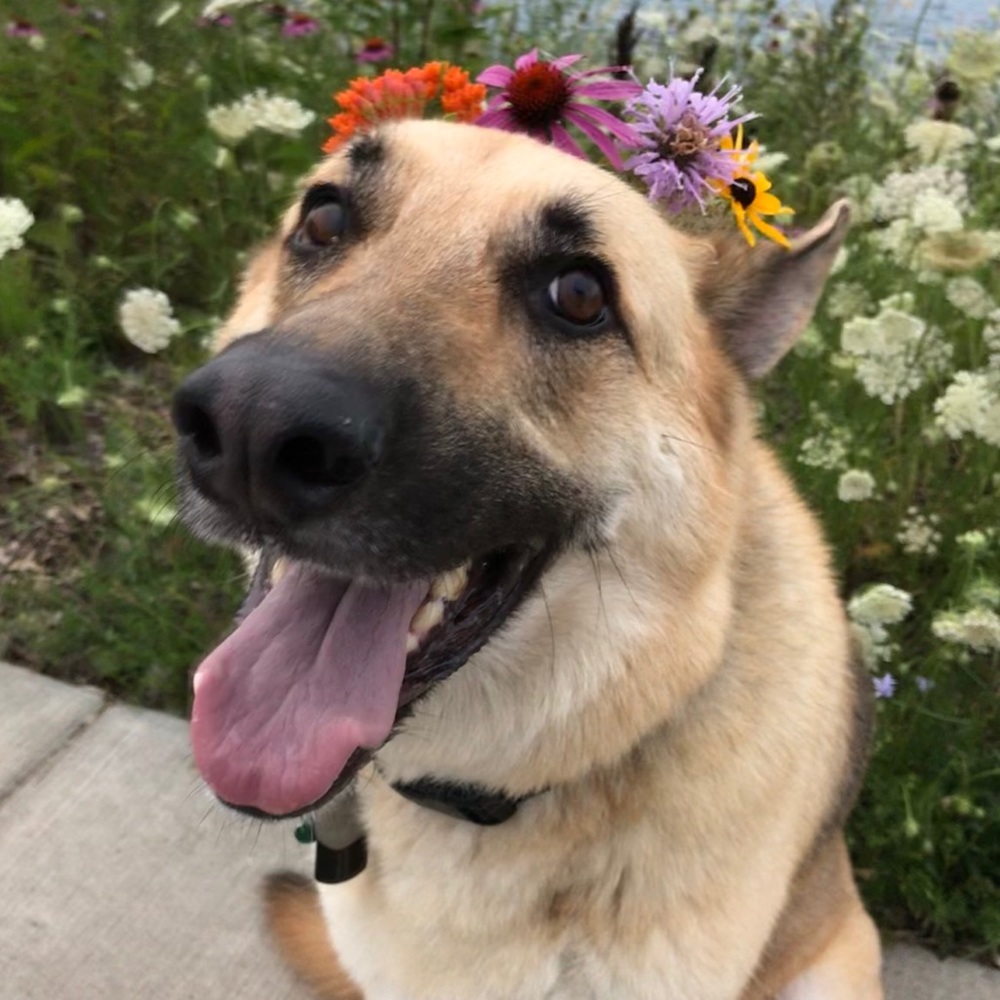 Meet your Posher, Garrett